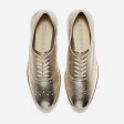 Cole Haan ZERØGRAND Wing Oxford Closed Hole Soft Gold Metallic Leather Optic White For Cheap