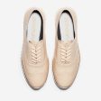 Cole Haan ZERØGRAND Wing Oxford Closed Hole Brazilian Sand Leather Ivory Online